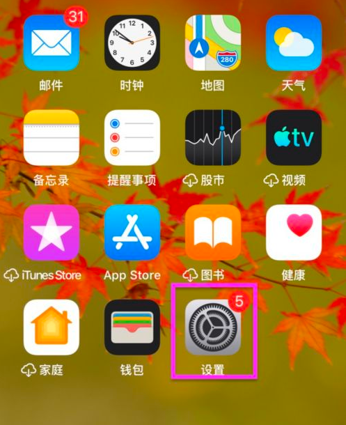 IOS苹果手机处理证件照并修改格式为JPG的方法
