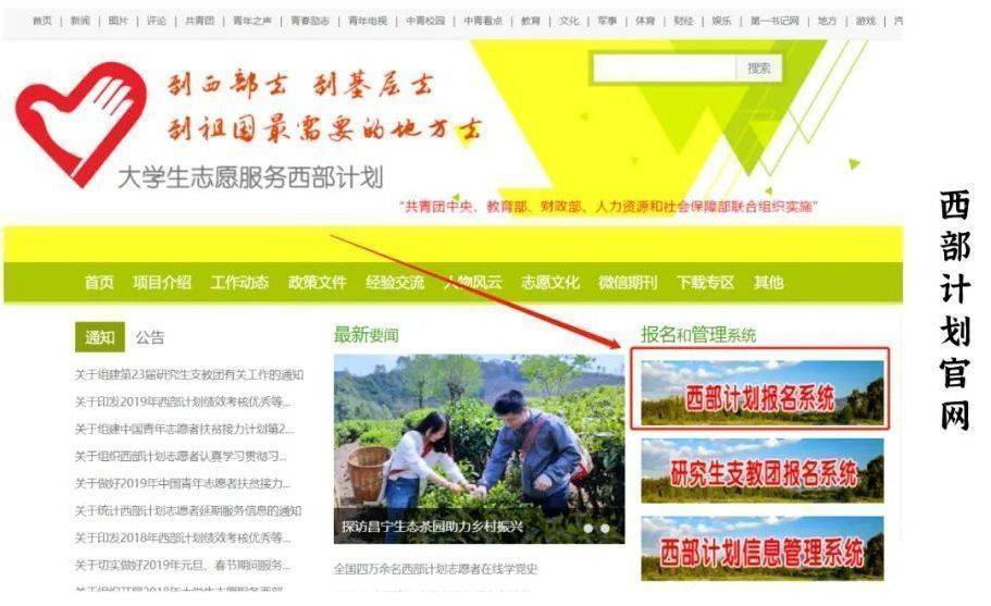 大学生志愿服务西部计划网上报名流程及免冠证件照制作