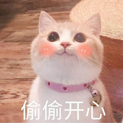 海口市二代身份证照片尺寸要求及手机自拍网上办理邮寄到家
