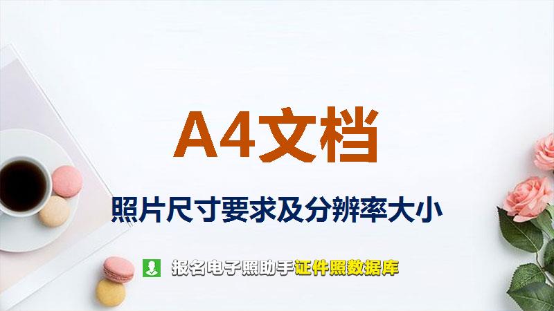 A4文档图片尺寸