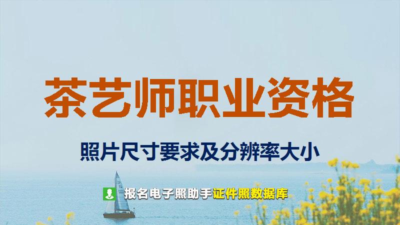 茶艺师职业资格尺寸大小和照片要求