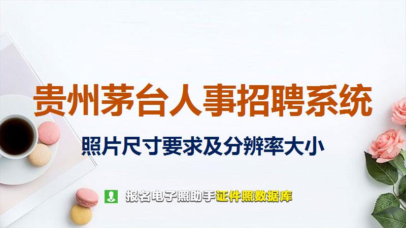 贵州茅台人事招聘系统尺寸大小和照片要求