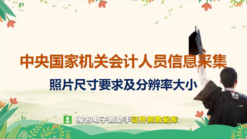 中央国家机关会计人员信息采集尺寸大小和照片要求