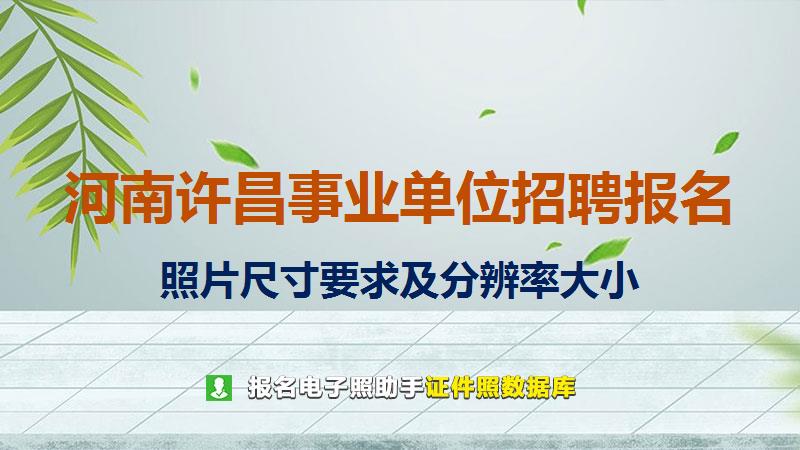 河南许昌事业单位招聘报名尺寸大小和照片要求