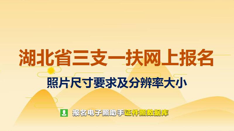 湖北省三支一扶网上报名尺寸大小和照片要求