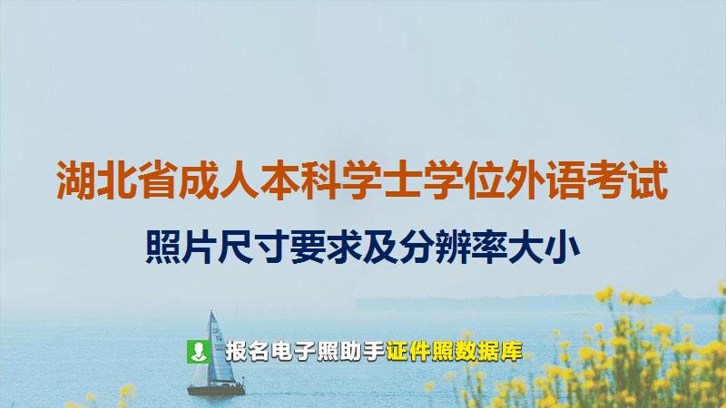 湖北省成人本科学士学位外语考试尺寸大小和照片要求