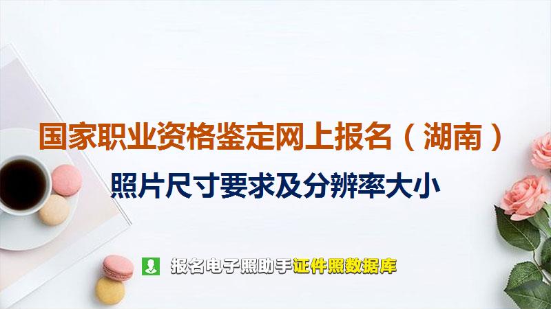 国家职业资格鉴定网上报名（湖南）尺寸大小和照片要求