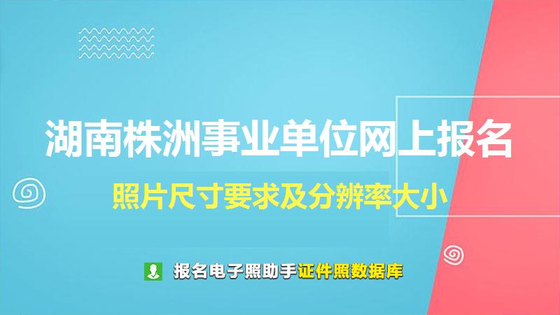 湖南株洲事业单位网上报名尺寸大小和照片要求