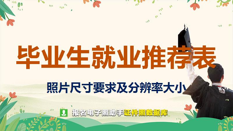 毕业生就业推荐表尺寸大小和照片要求