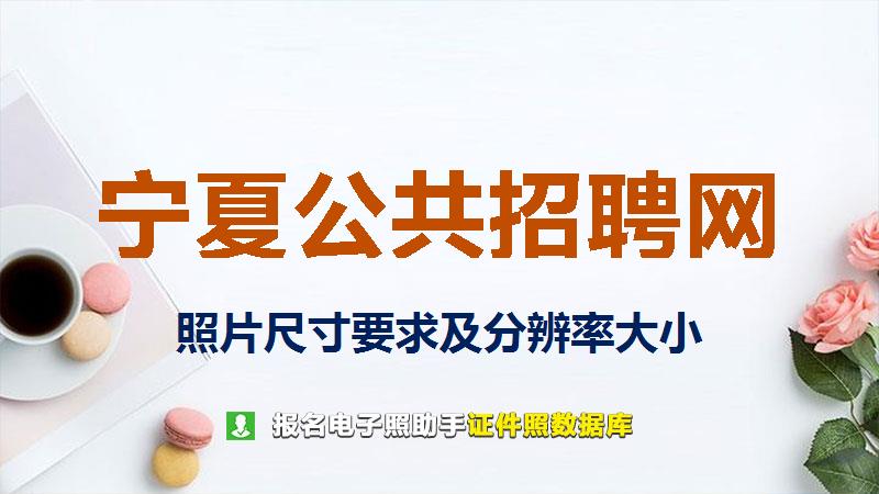 宁夏公共招聘网尺寸大小和照片要求