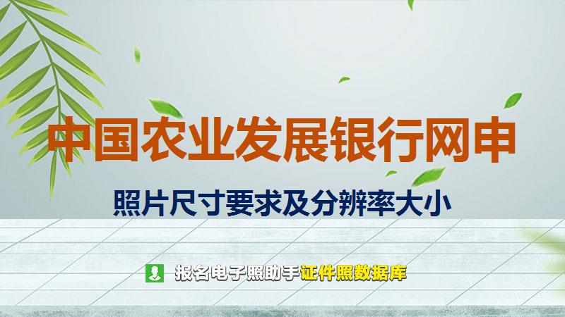 中国农业发展银行网申尺寸大小和照片要求