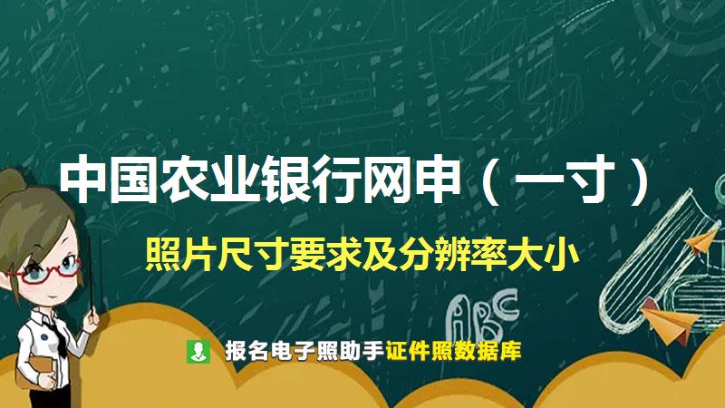 中国农业银行网申（一寸）尺寸大小和照片要求