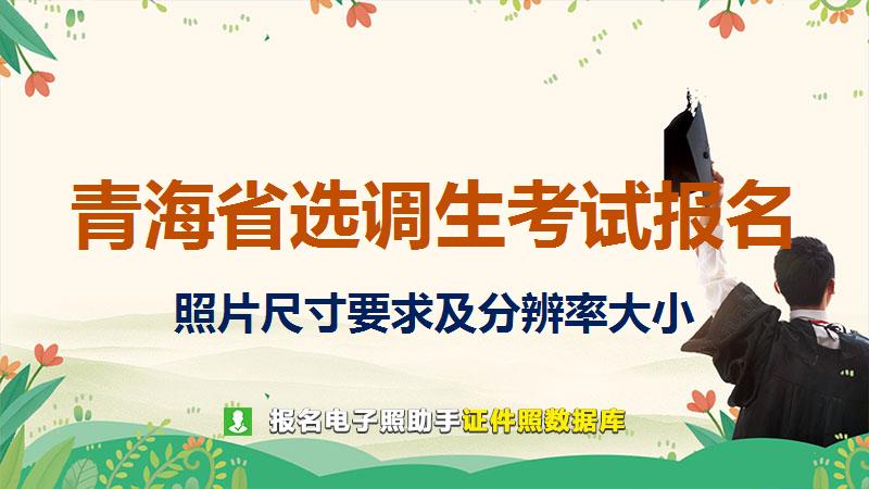 青海省选调生考试报名尺寸大小和照片要求