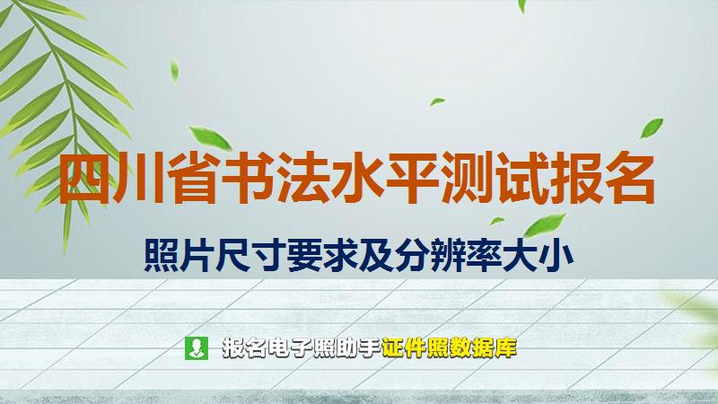 四川省书法水平测试报名尺寸大小和照片要求