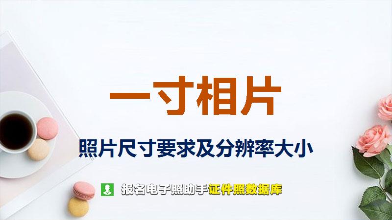 一寸相片图片尺寸