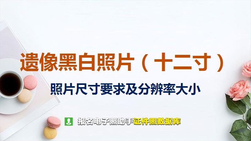 遗像黑白照片（十二寸）尺寸大小和照片要求