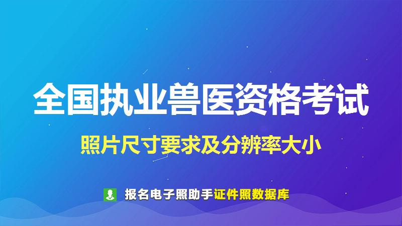 全国执业兽医资格考试尺寸大小和照片要求